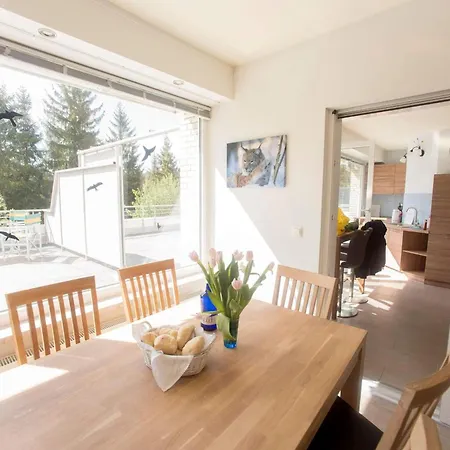 Apartamento Terrassenhaus 626 Braunlage