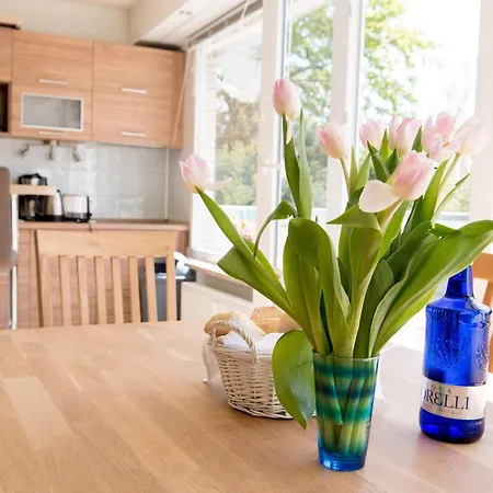 Apartamento Terrassenhaus 626 Braunlage